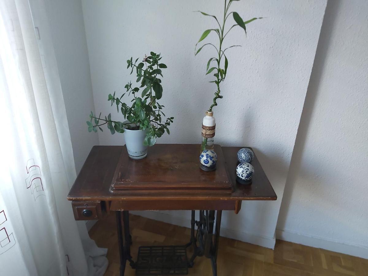 "El Rincon Del Pintor"Enorme Piso A Junto A Laurel Ascensor By Apartamentos 洛格罗尼奥 外观 照片